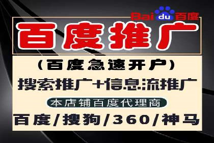 百度竞价代运营公司成功案例揭秘：策略与执行